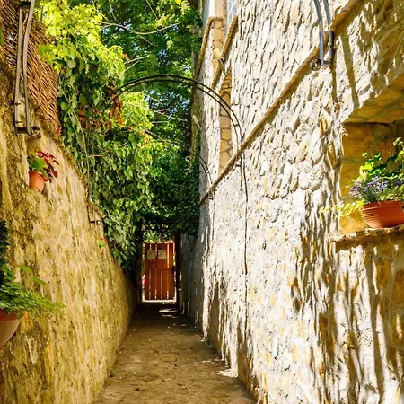 Muzsa